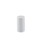 GenWare Porcelain Salt Shaker 8.2cm/ 3.25"
