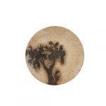 Eden Coupe Plate 17cm/6½"